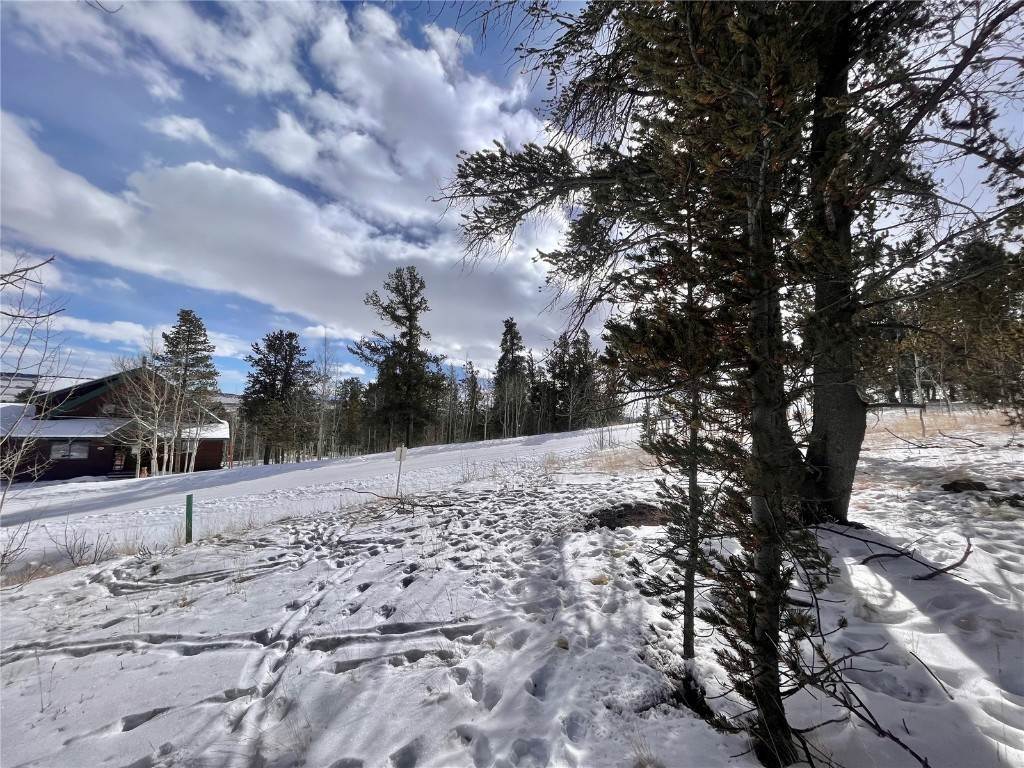 20. Land for Active at 325 Park View Drive Fairplay, Colorado 80440 United States