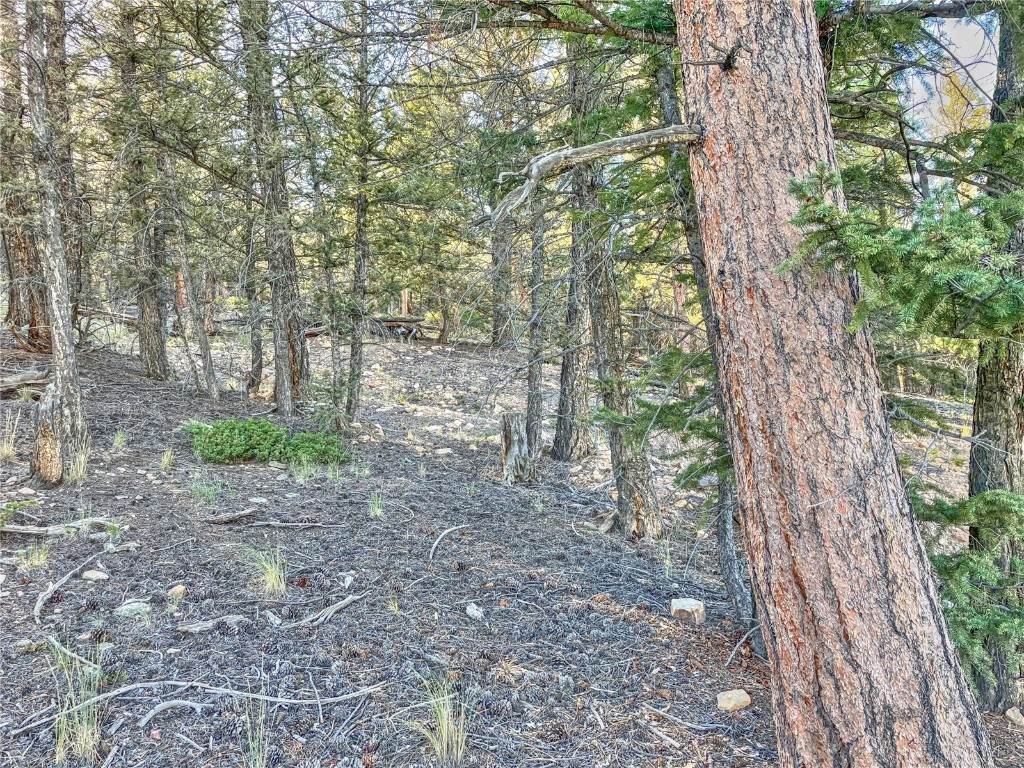 10. Land for Active at 2359 Redhill Road Fairplay, Colorado 80440 United States