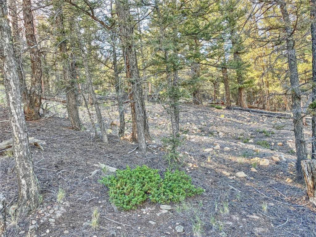 11. Land for Active at 2359 Redhill Road Fairplay, Colorado 80440 United States