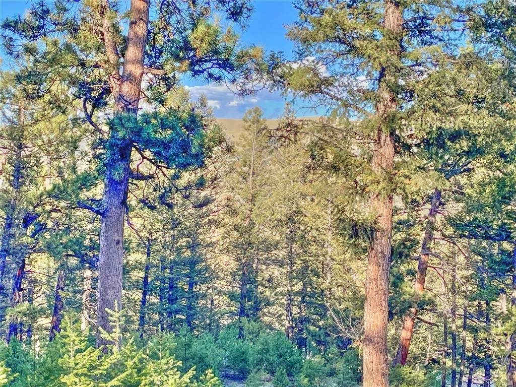 3. Land for Active at 2359 Redhill Road Fairplay, Colorado 80440 United States
