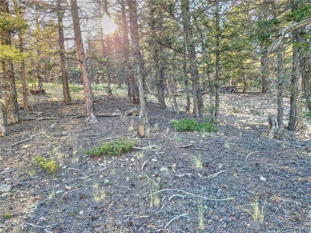 9. Land for Active at 2359 Redhill Road Fairplay, Colorado 80440 United States