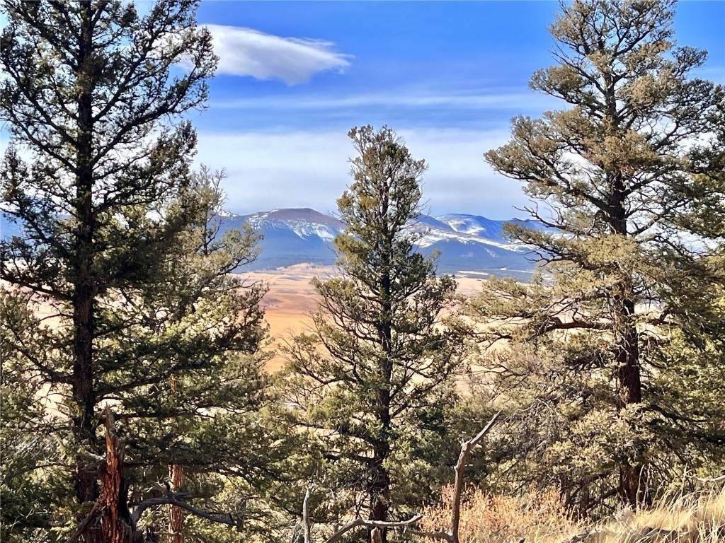 Land for Active at 2675 Middle Fork Vista Lot 198 Fairplay, Colorado 80440 United States