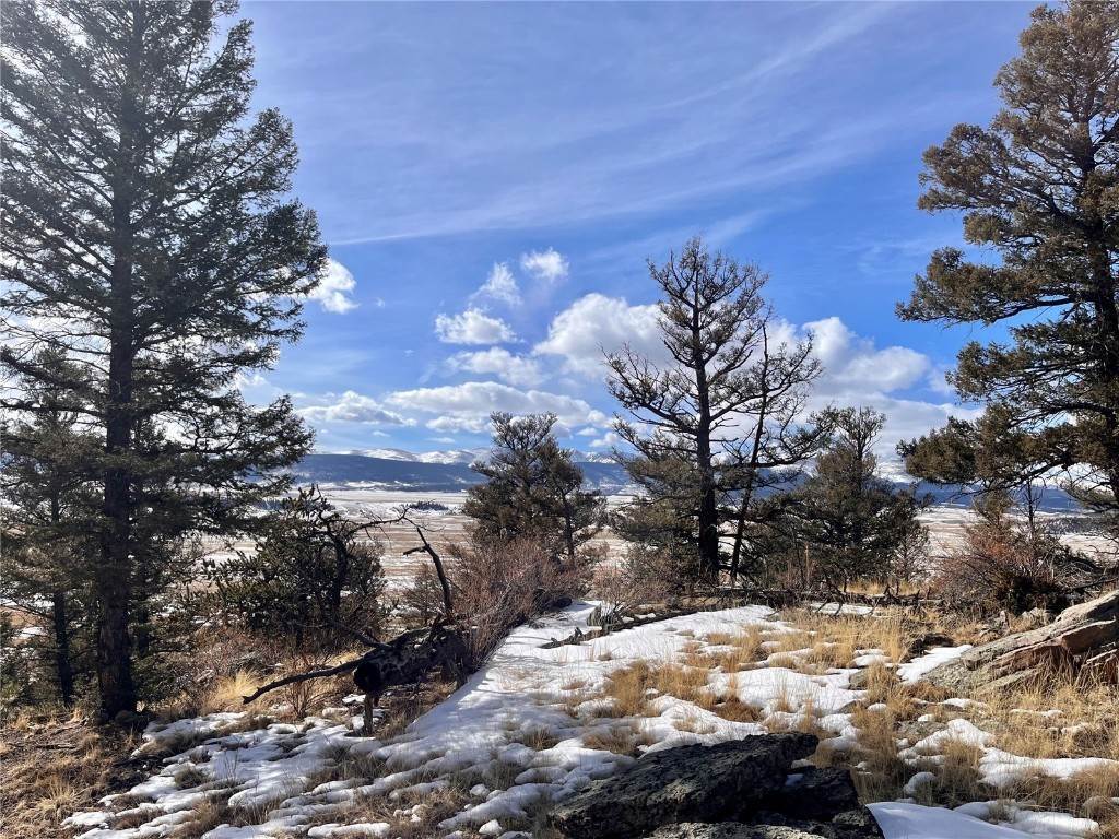 10. Land for Active at 2675 Middle Fork Vista Lot 198 Fairplay, Colorado 80440 United States