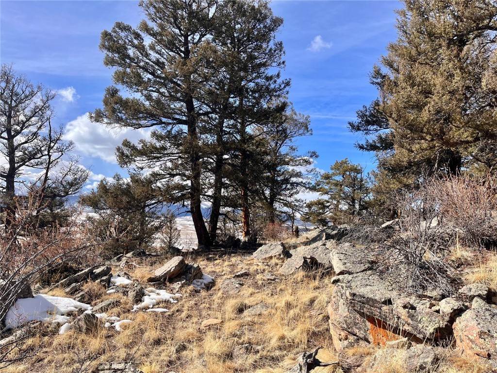 15. Land for Active at 2675 Middle Fork Vista Lot 198 Fairplay, Colorado 80440 United States