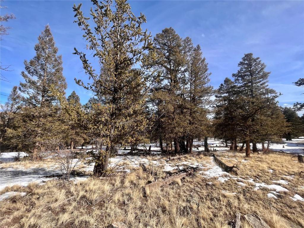 16. Land for Active at 2675 Middle Fork Vista Lot 198 Fairplay, Colorado 80440 United States