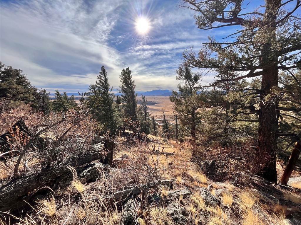 17. Land for Active at 2675 Middle Fork Vista Lot 198 Fairplay, Colorado 80440 United States