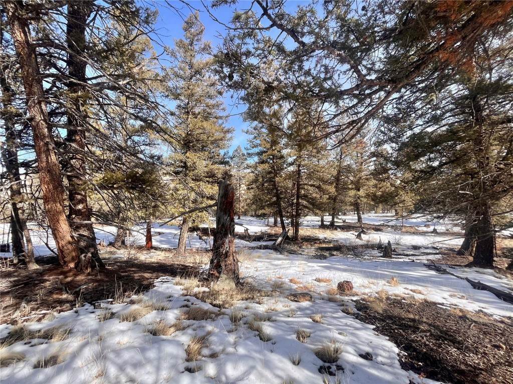 18. Land for Active at 2675 Middle Fork Vista Lot 198 Fairplay, Colorado 80440 United States