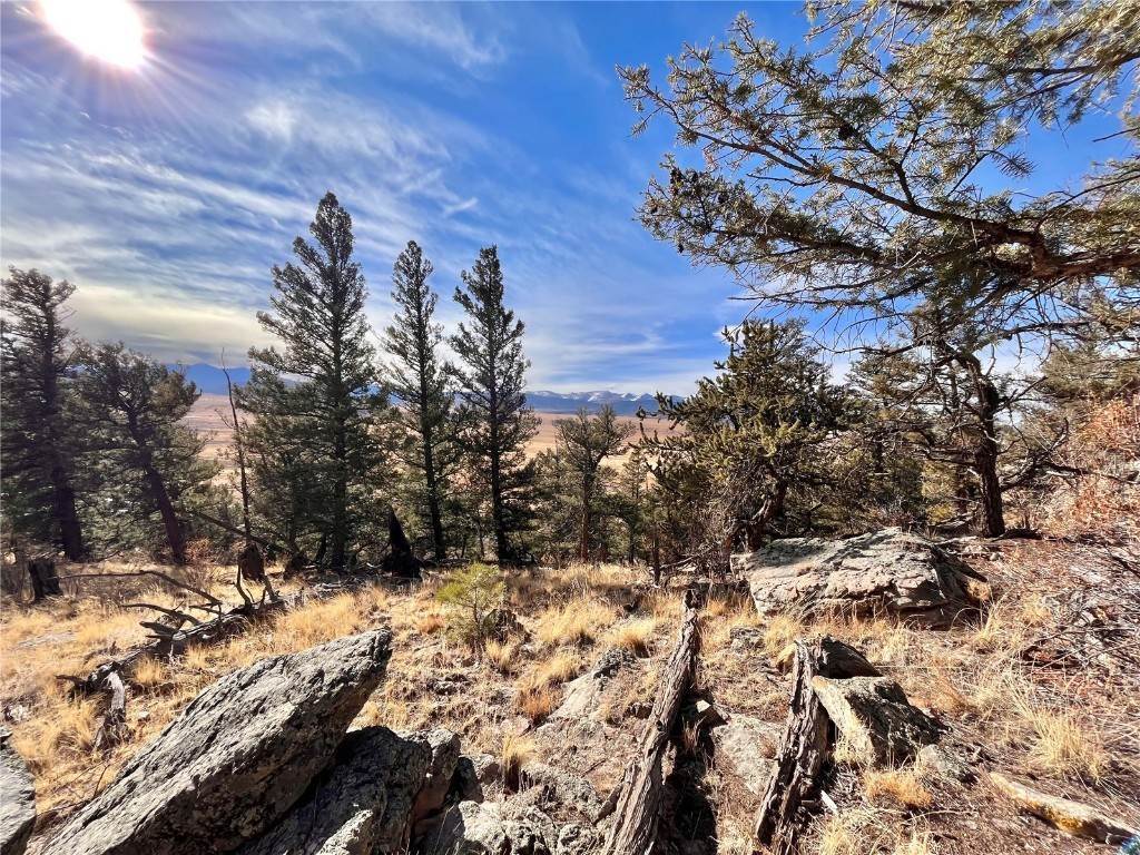 5. Land for Active at 2675 Middle Fork Vista Lot 198 Fairplay, Colorado 80440 United States