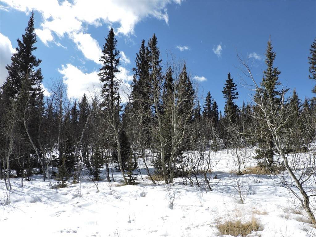 11. Land for Active at 820 Swiggler Road Jefferson, Colorado 80456 United States