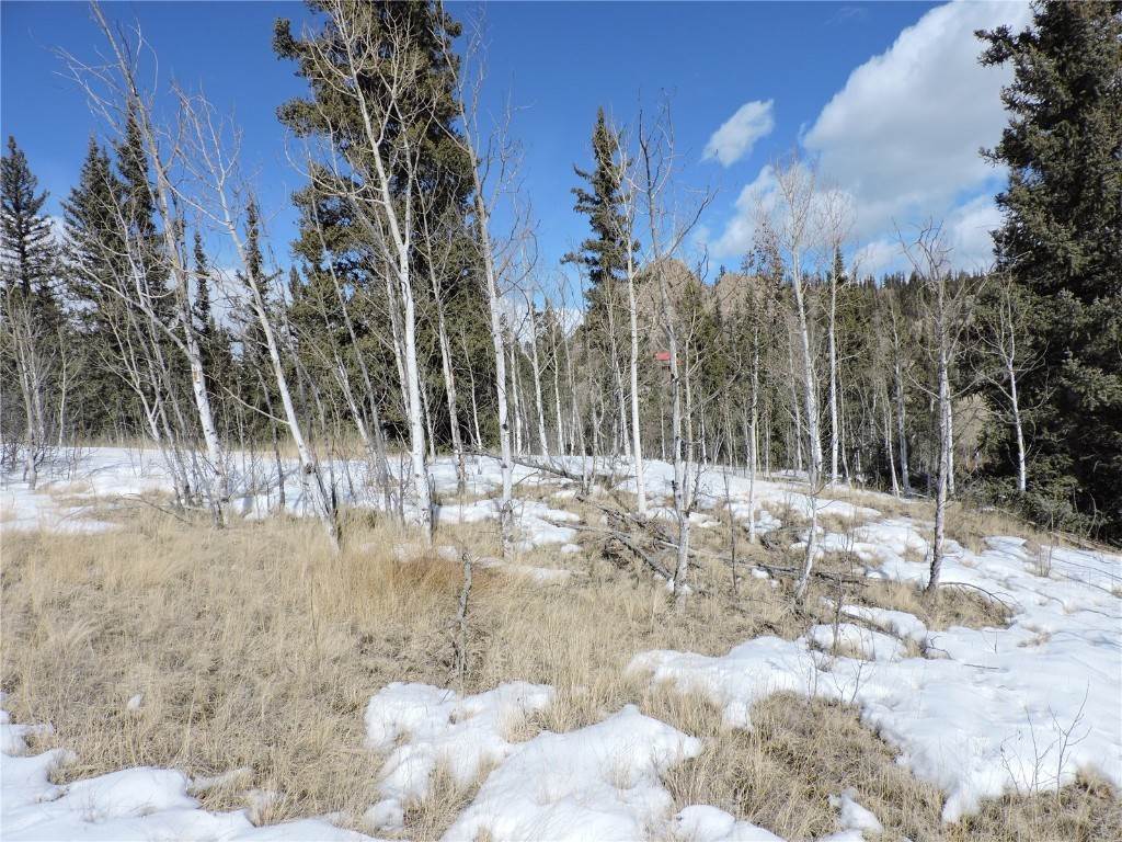 6. Land for Active at 820 Swiggler Road Jefferson, Colorado 80456 United States