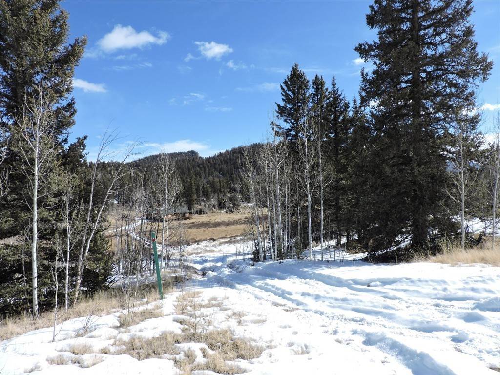 9. Land for Active at 820 Swiggler Road Jefferson, Colorado 80456 United States