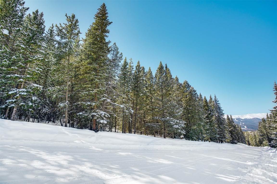 10. Land for Active at 576 County Road 528 Breckenridge, Colorado 80424 United States