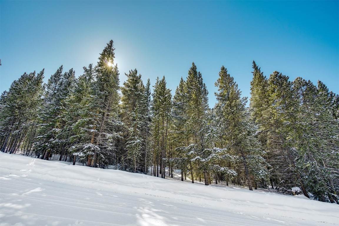 6. Land for Active at 576 County Road 528 Breckenridge, Colorado 80424 United States