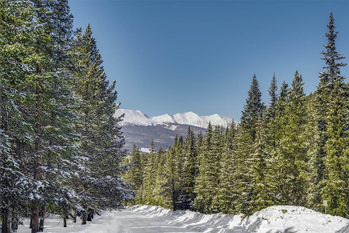 8. Land for Active at 576 County Road 528 Breckenridge, Colorado 80424 United States