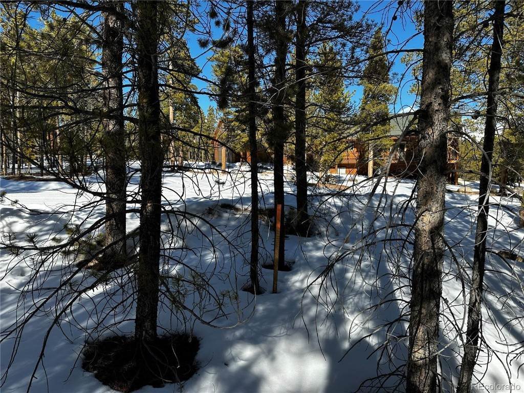 6. Land for Active at 294 Peak View Drive Twin Lakes, Colorado 81251 United States