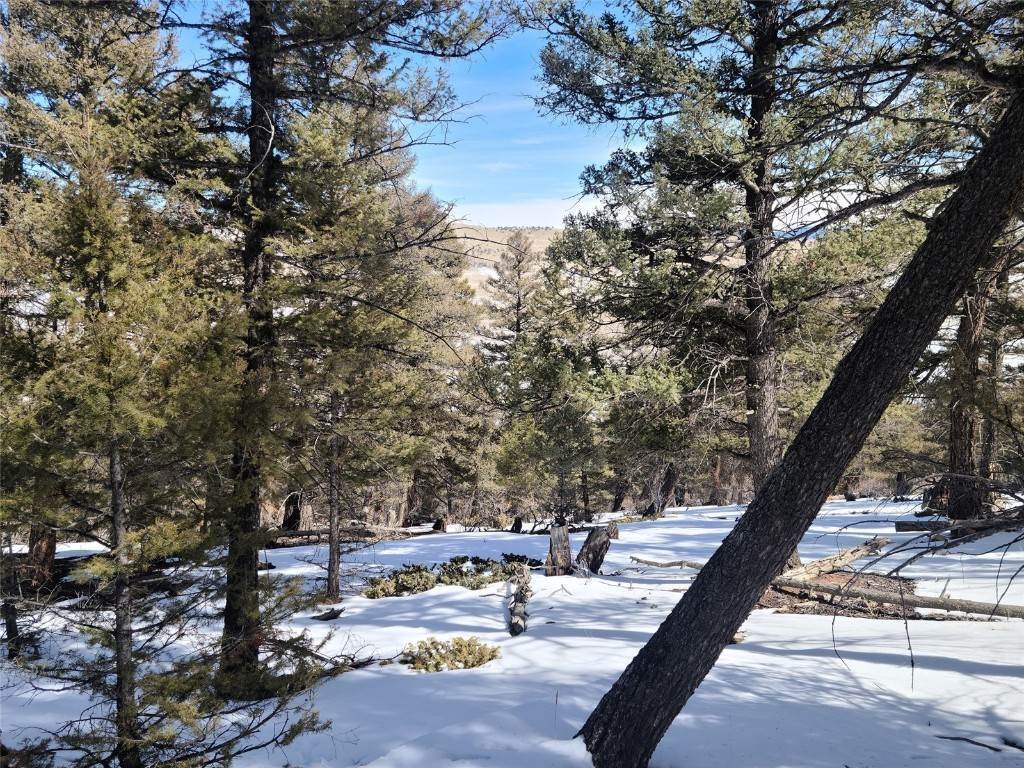 13. Land for Active at 806 Middle Fork Fairplay, Colorado 80440 United States