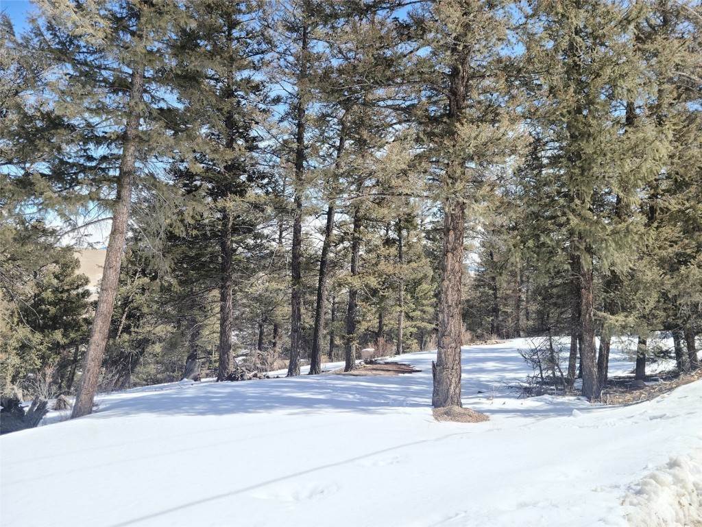 14. Land for Active at 806 Middle Fork Fairplay, Colorado 80440 United States