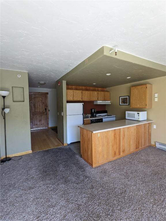 1. Condominiums for Active at 110 S Park Avenue Breckenridge, Colorado 80424 United States