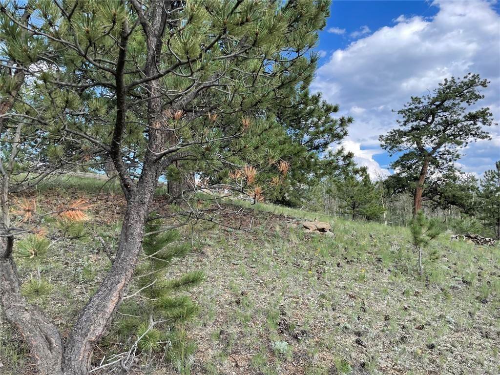 2. Land for Active at 950 McDowell Drive Como, Colorado 80432 United States