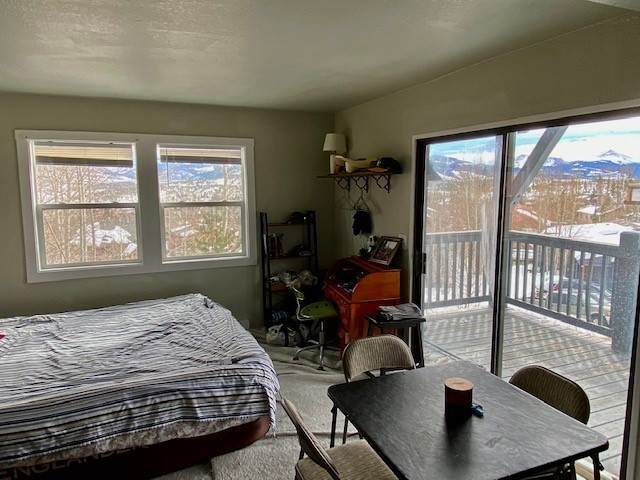 5. Condominiums for Active at 808 Ryan Gulch Road Silverthorne, Colorado 80498 United States