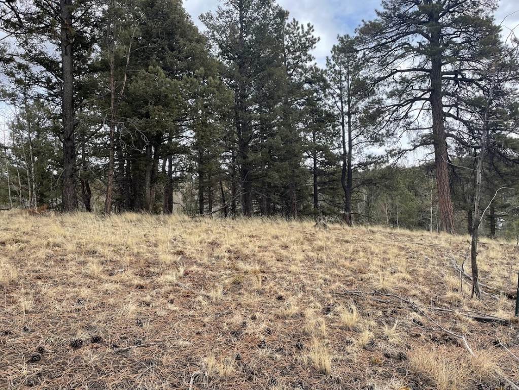 1. Land for Active at 2869 N Mountain Estates Road Florissant, Colorado 80816 United States