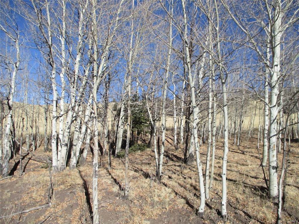 7. Land for Active at Oglala Trail Hartsel, Colorado 80449 United States