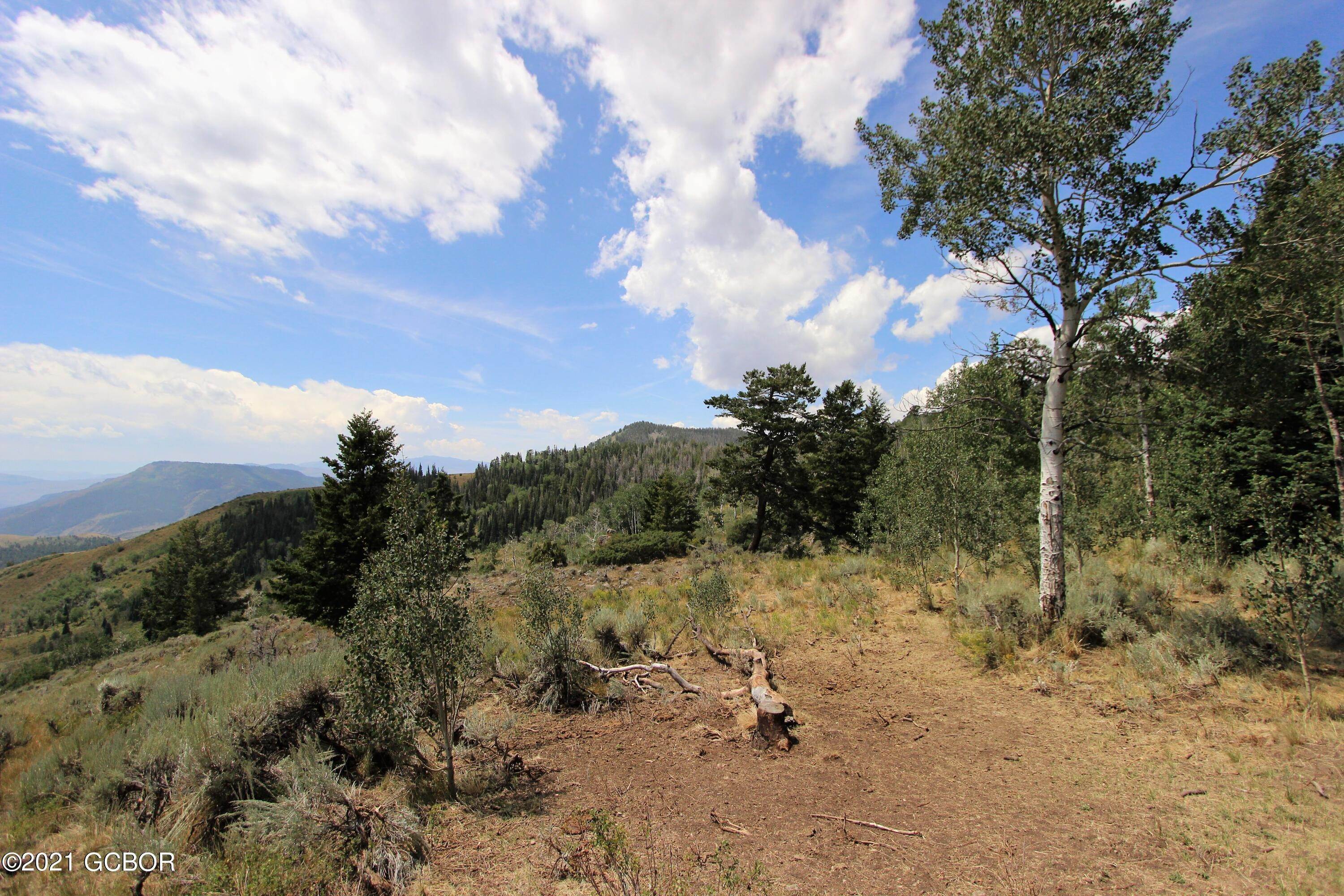 4. Vacant land for Active at TBD county rd 111 Kremmling, Colorado 80459 United States