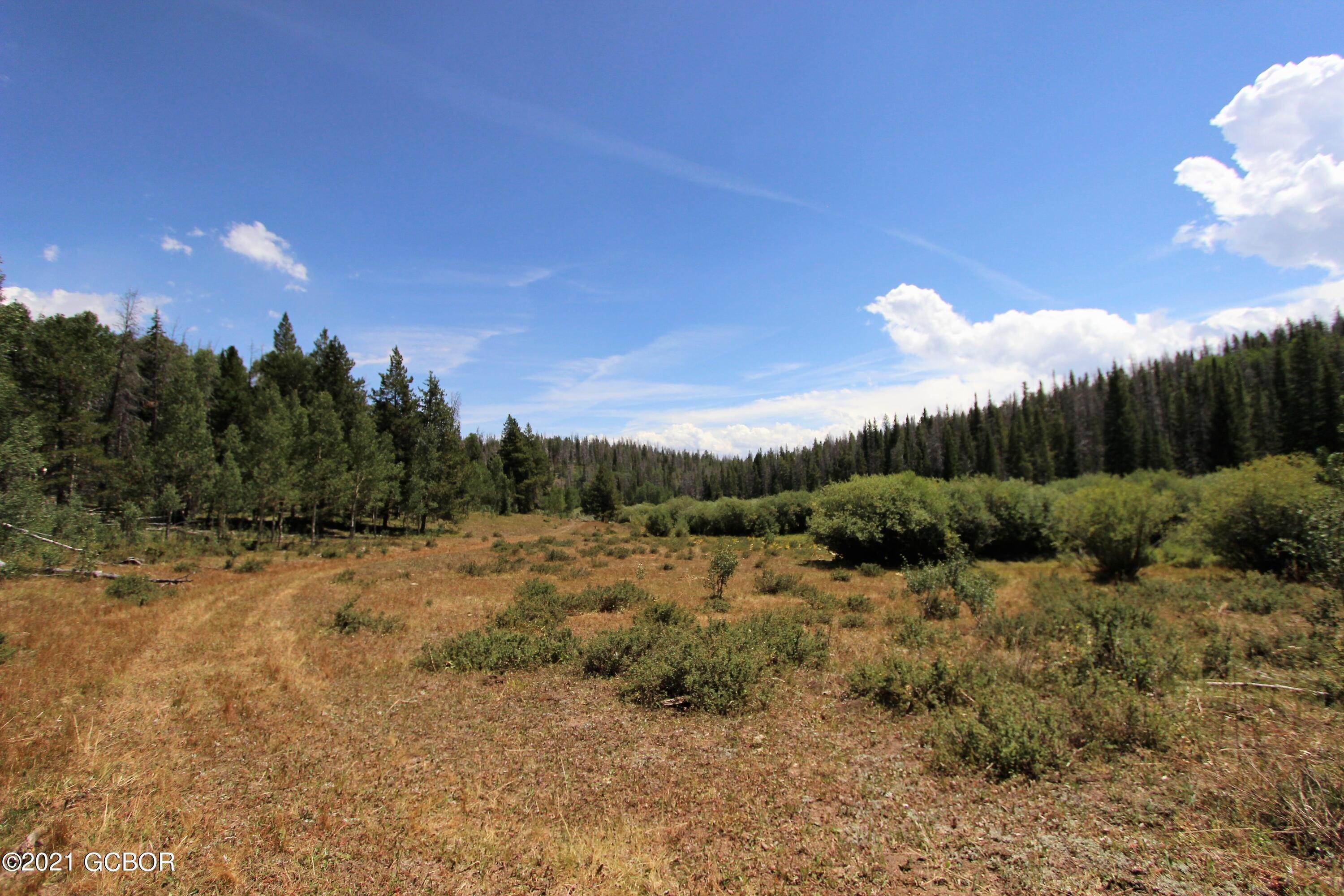 5. Vacant land for Active at TBD county rd 111 Kremmling, Colorado 80459 United States