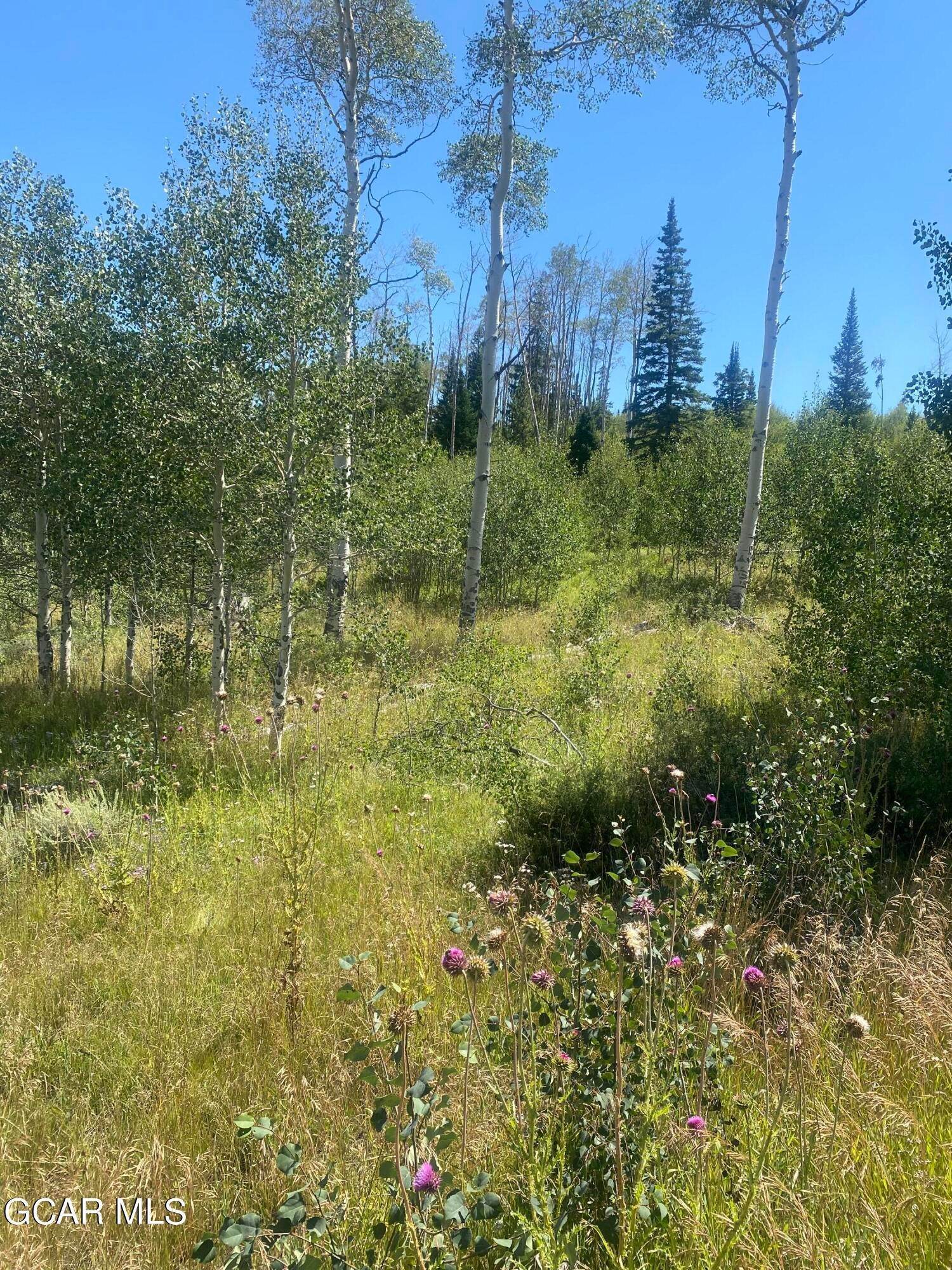 Vacant land for Active at 586 GCR 372 Parshall, Colorado 80468 United States