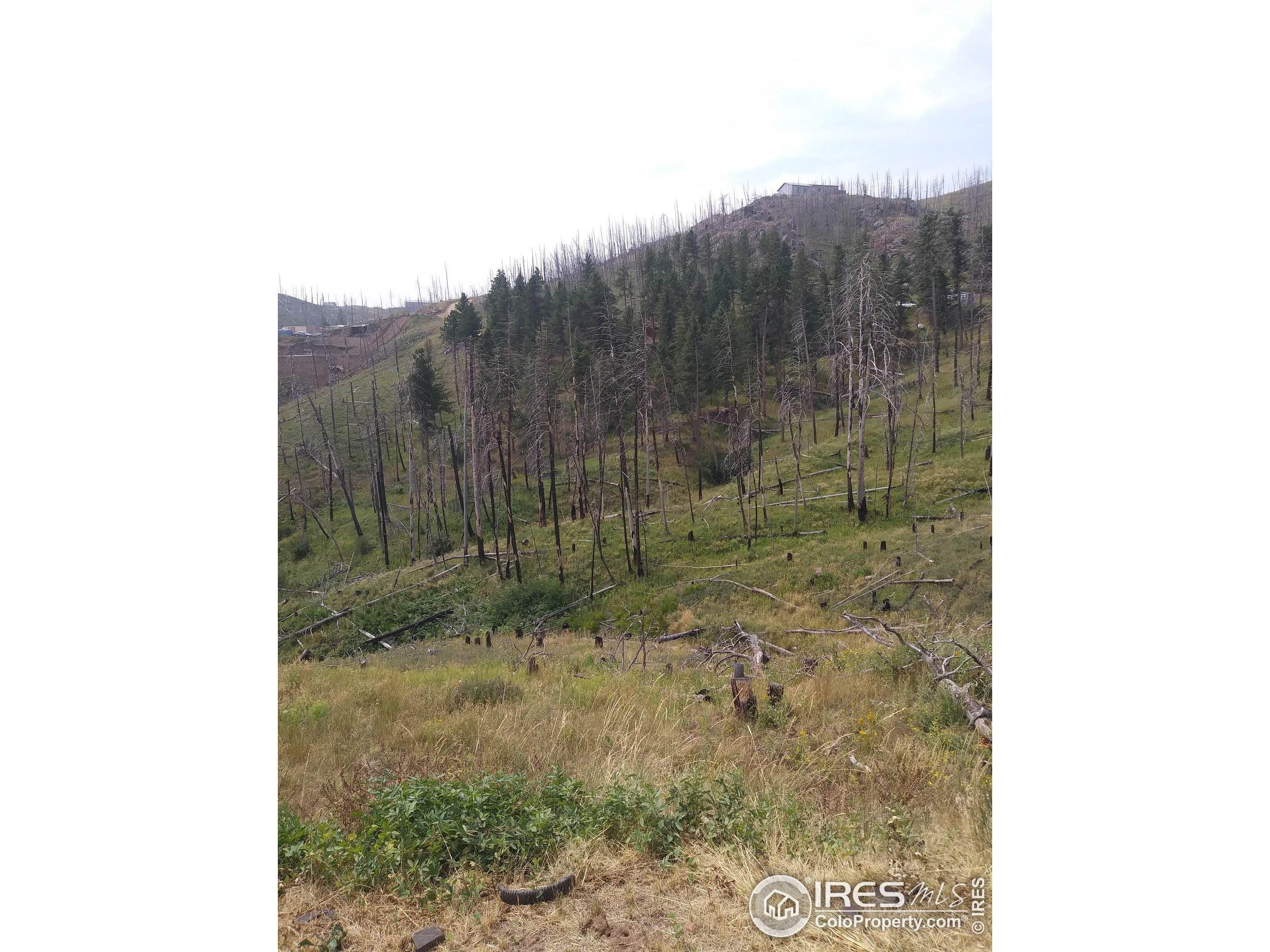 6. Land for Active at 1651 Whale Rock Road Bellvue, Colorado 80512 United States
