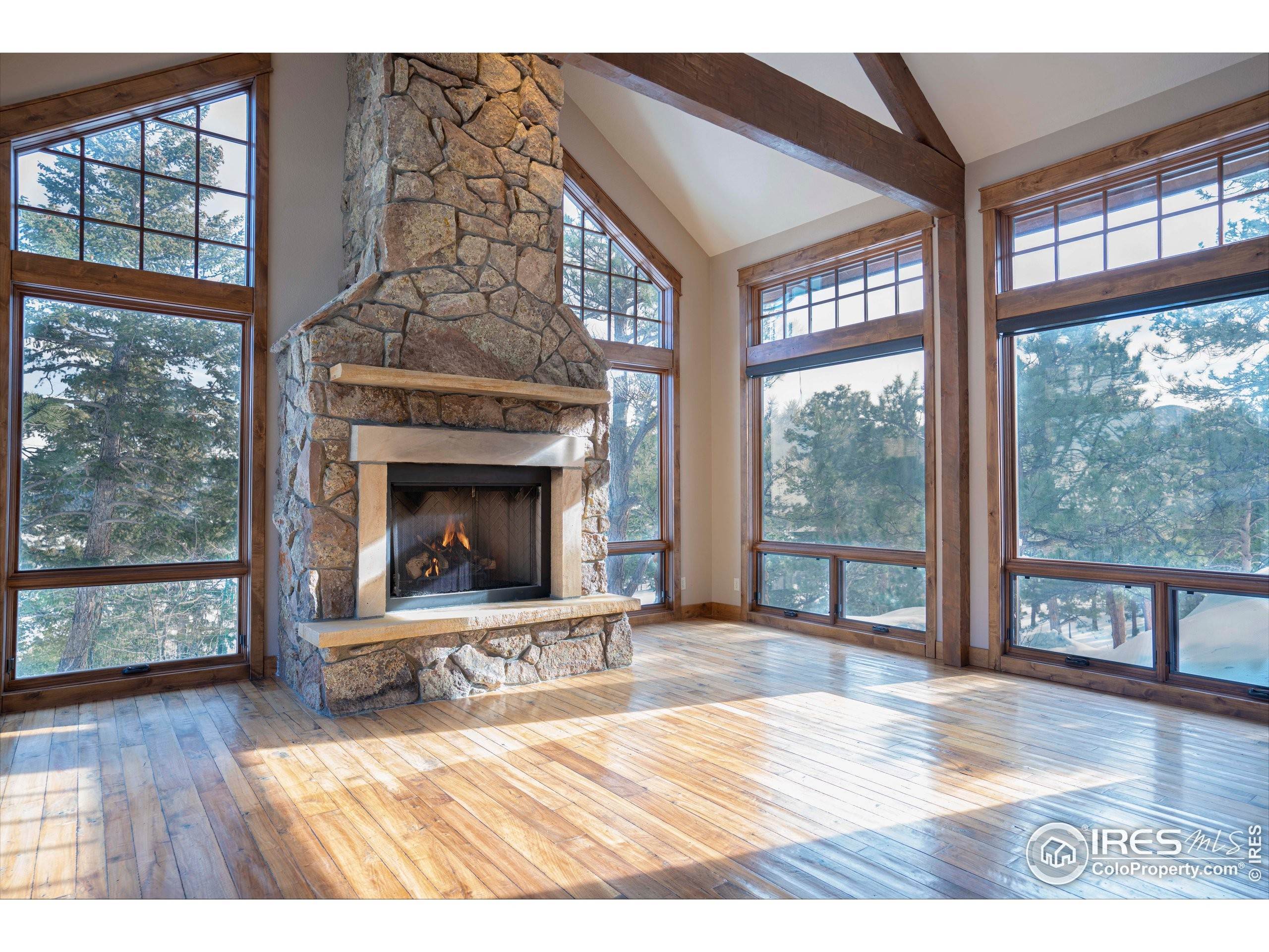 3. Single Family Homes for Active at 2855 Grey Fox Drive Estes Park, Colorado 80517 United States