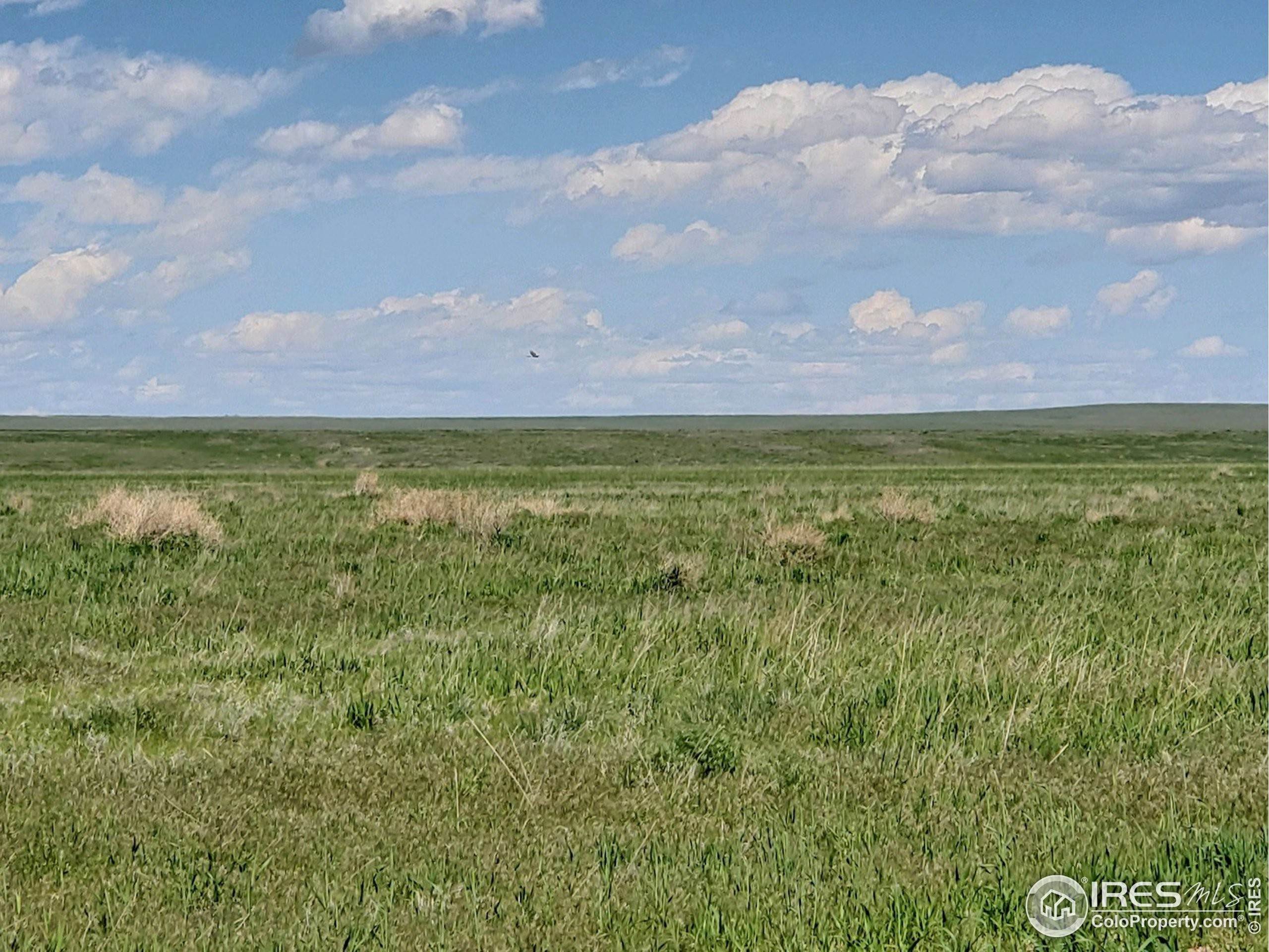 3. Land for Active at Parcel 7 CR 102 Nunn, Colorado 80648 United States