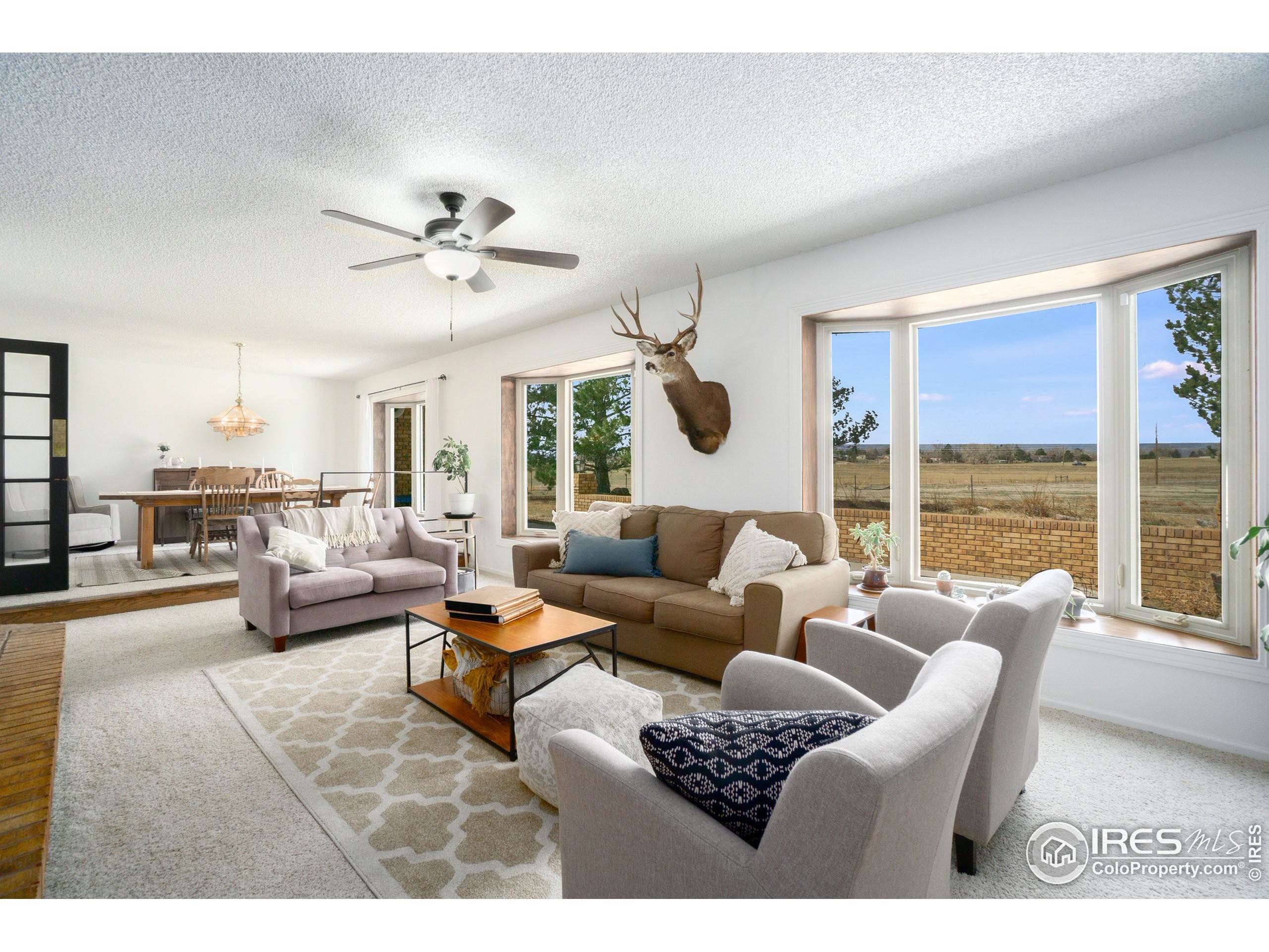 11. Single Family Homes for Active at 7092 N County Road 15 Fort Collins, Colorado 80524 United States