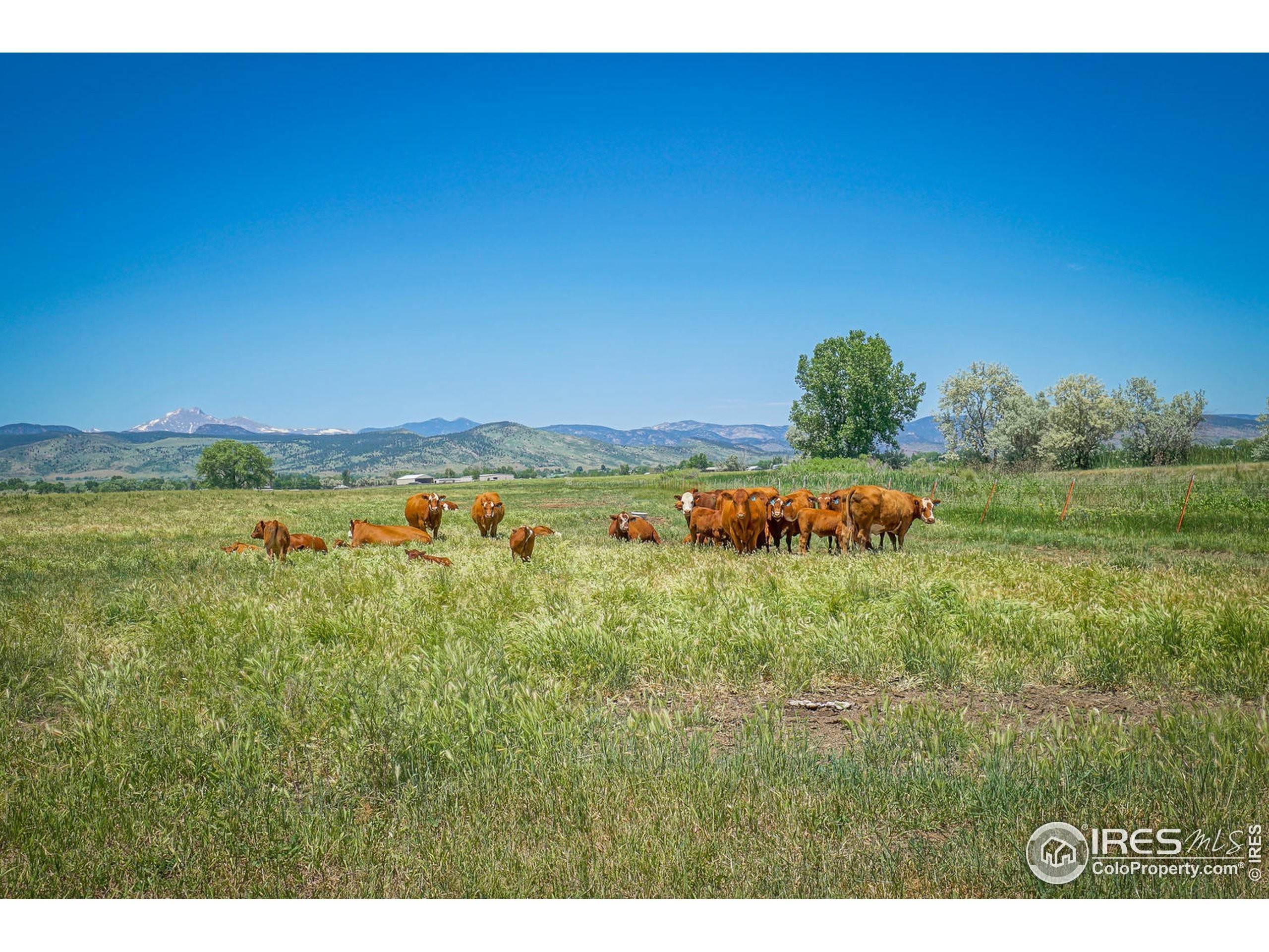 12. Farm at 10135 N 75th Street Longmont, Colorado 80503 United States
