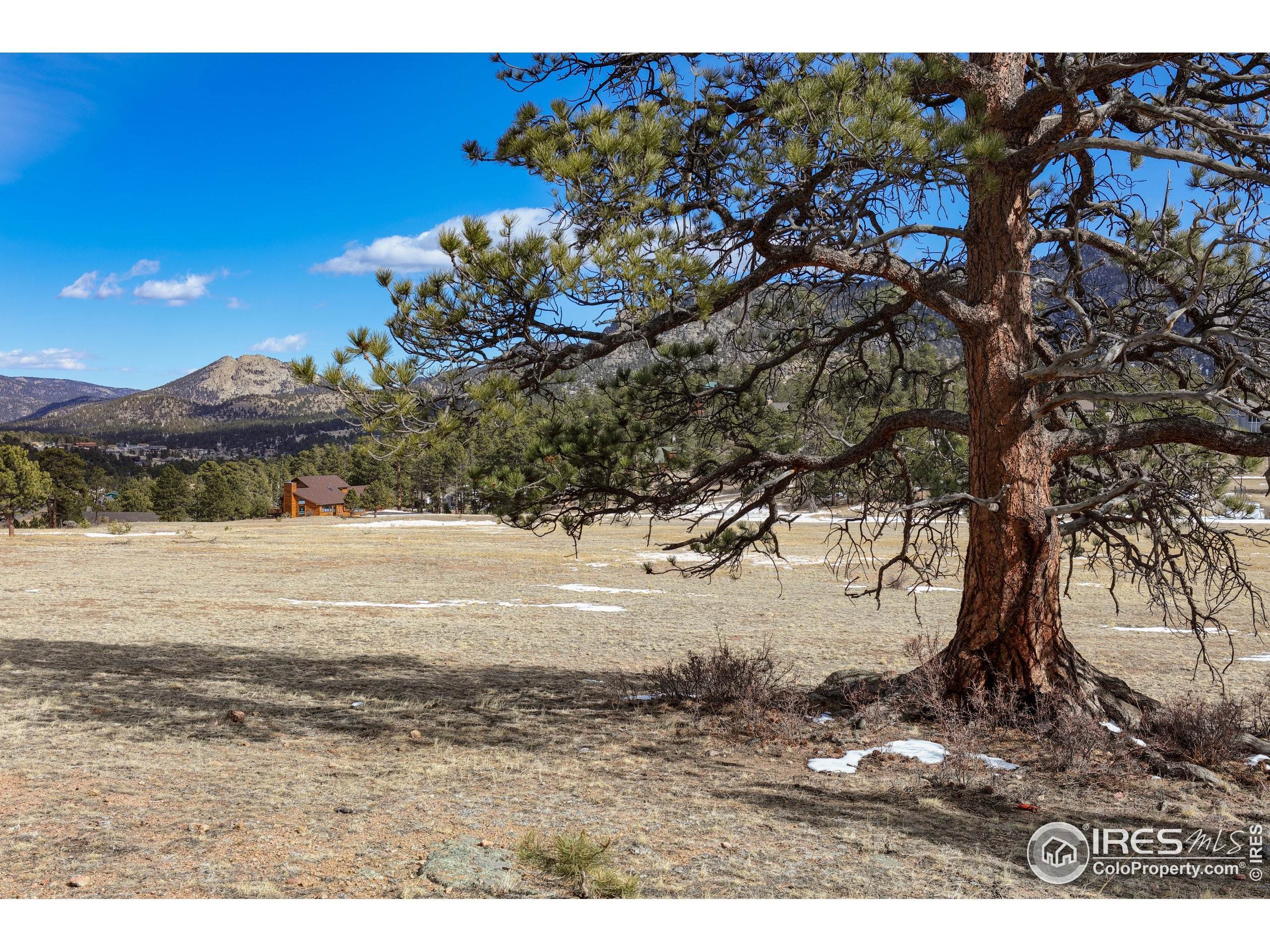 16. Land for Active at 2600 Grey Fox Drive Estes Park, Colorado 80517 United States