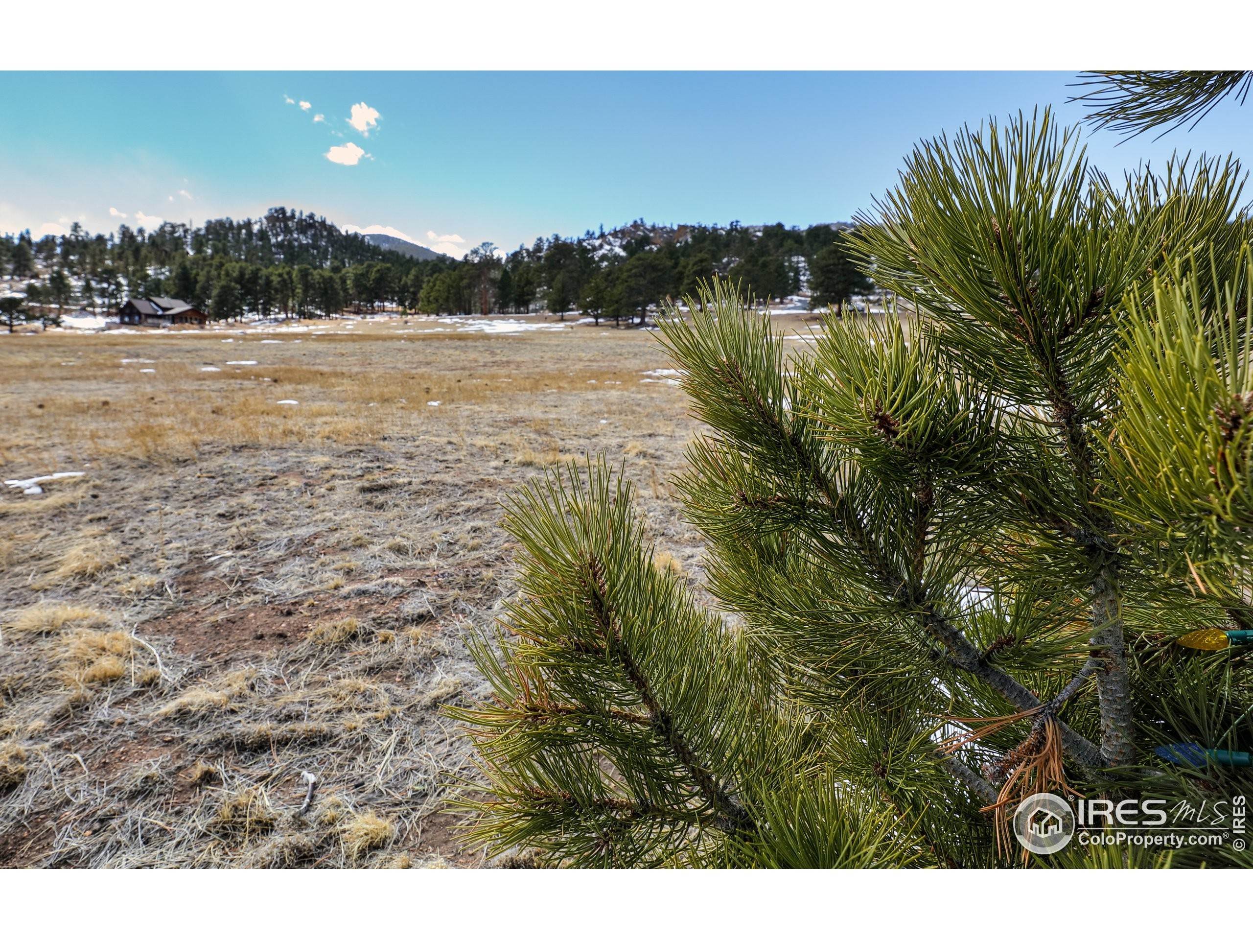 19. Land for Active at 2600 Grey Fox Drive Estes Park, Colorado 80517 United States