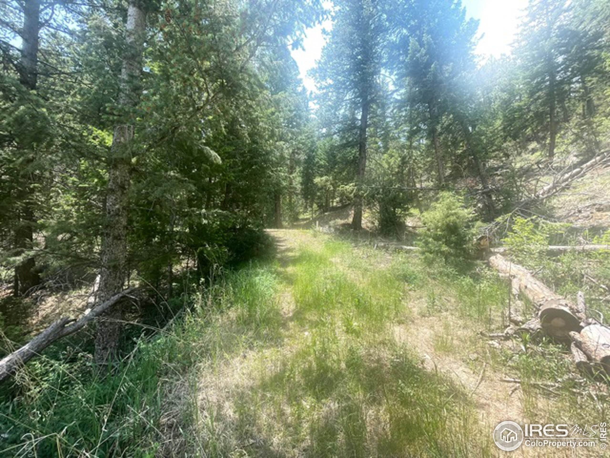 3. Land for Active at 1 Mountain Lion Track Court Livermore, Colorado 80536 United States