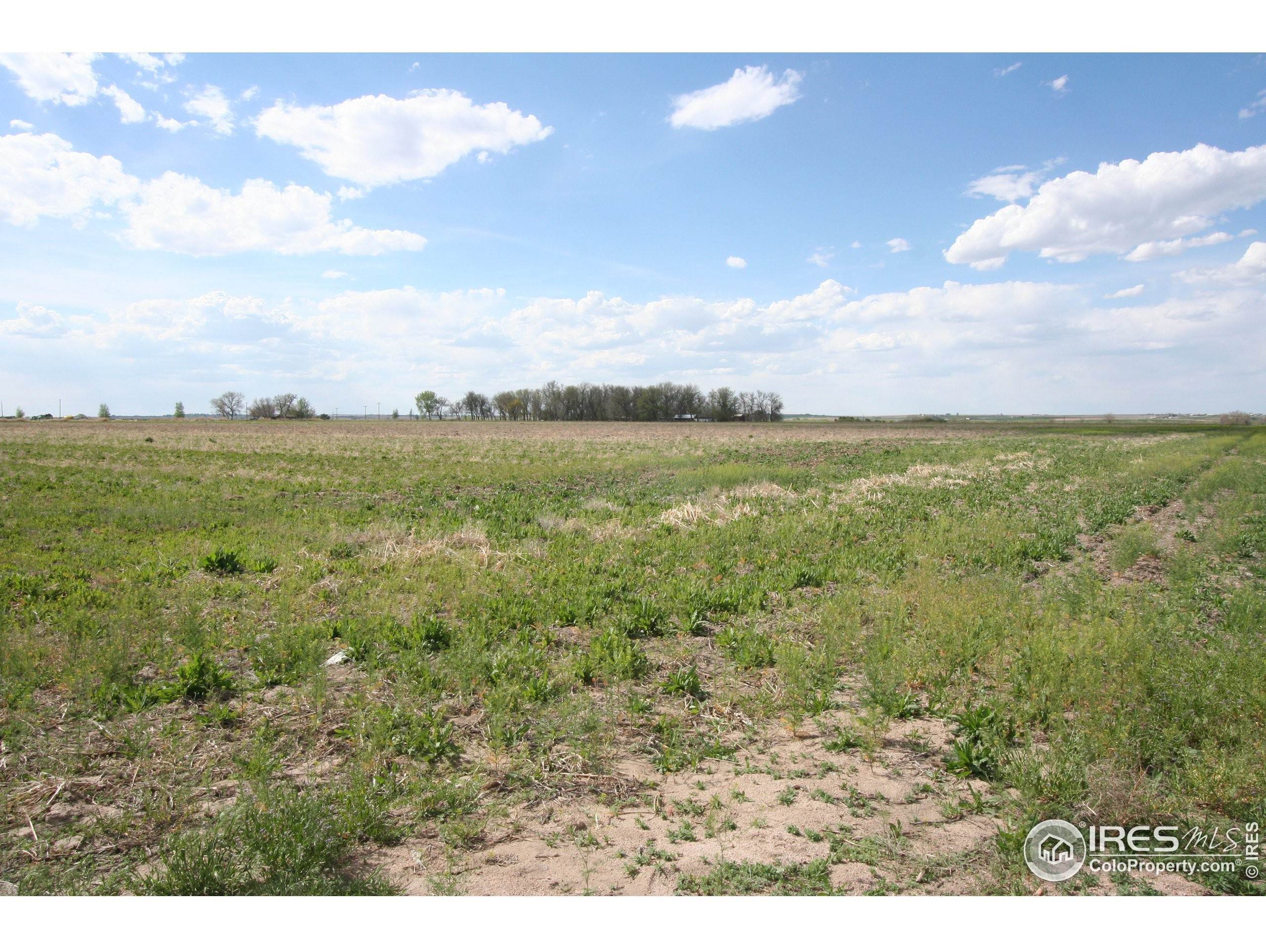 3. Land for Active at 21050 Hwy 34 Fort Morgan, Colorado 80701 United States