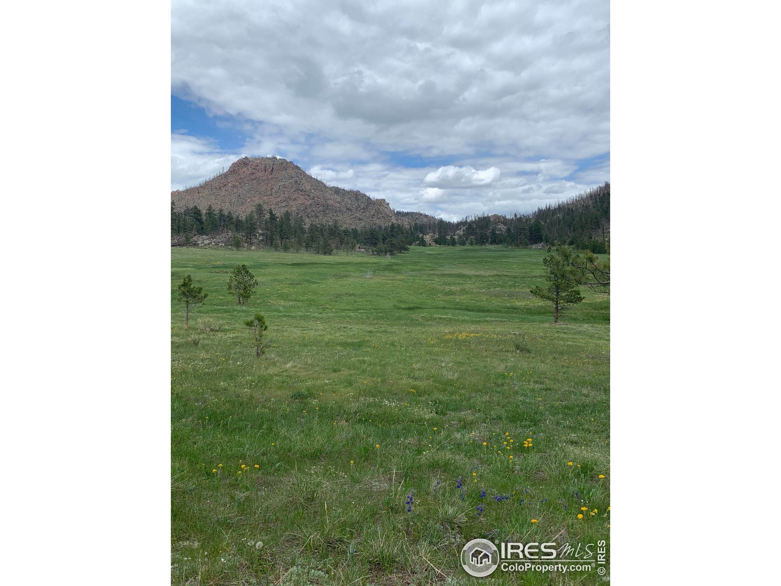 Land for Active at Weiler Ranch Grey Rock Meadow Laporte, Colorado 80535 United States