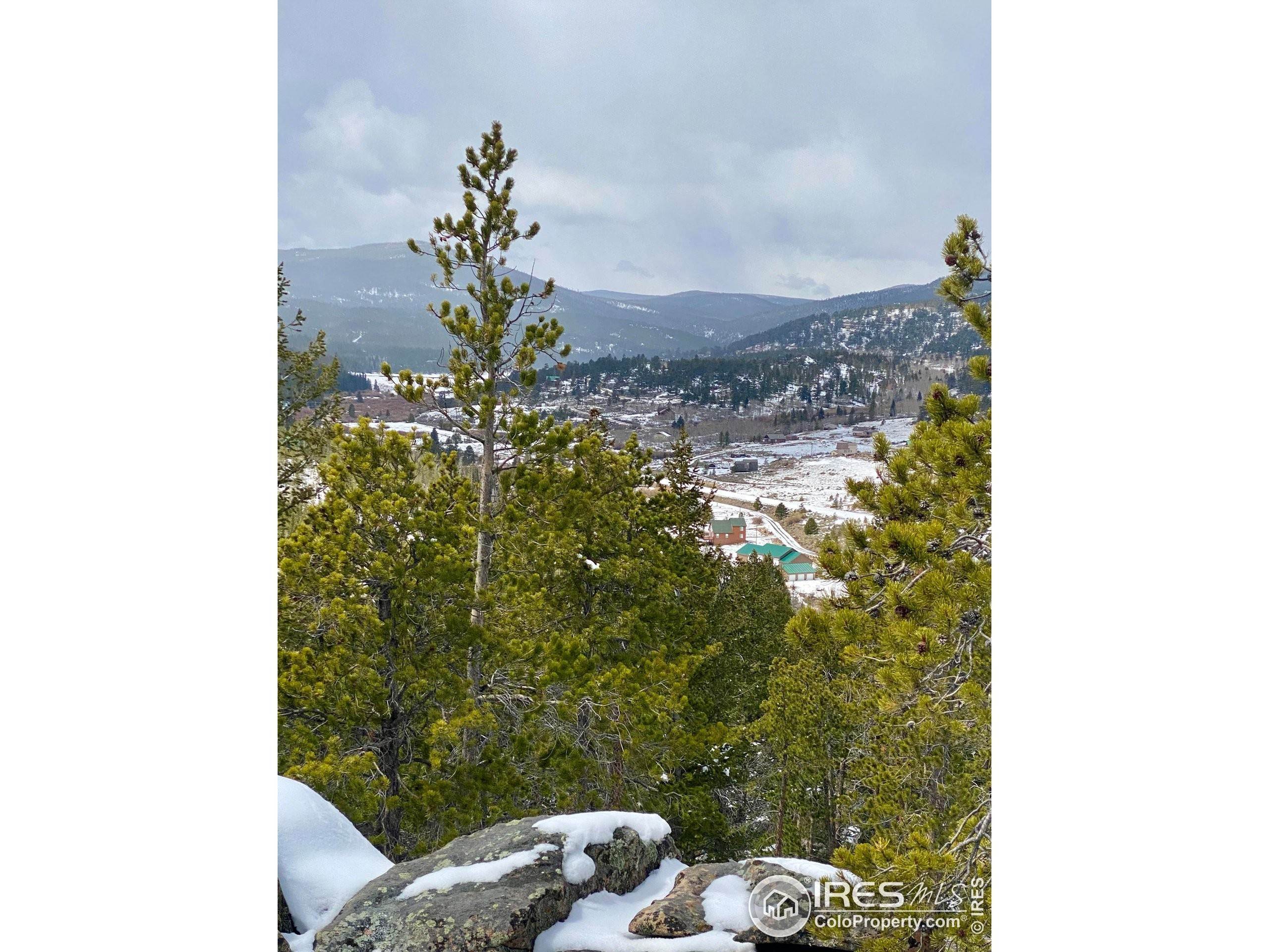 5. Land for Active at 518 Crow Road Red Feather Lakes, Colorado 80545 United States