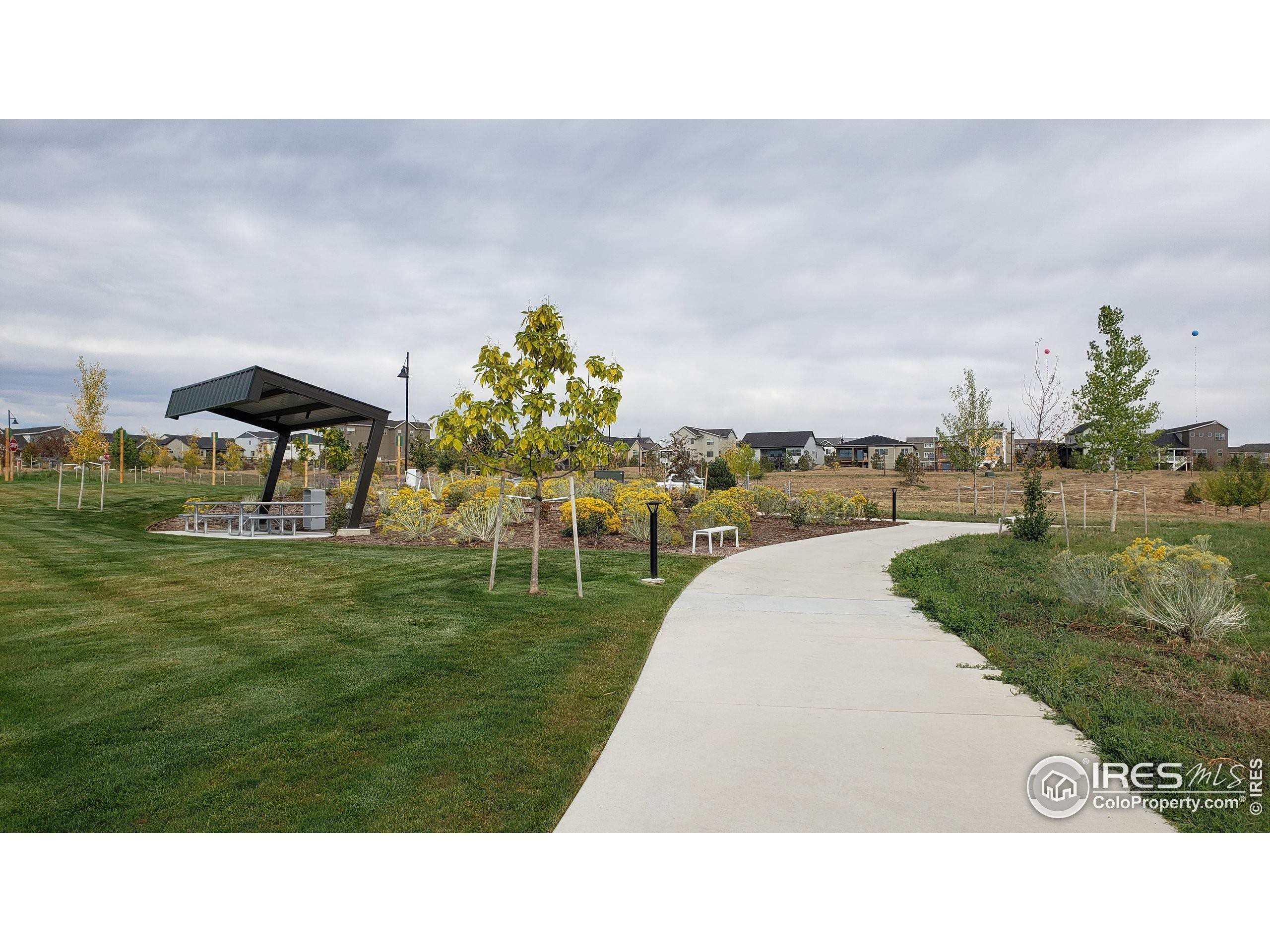 18. Single Family Homes for Active at 4857 Old River Avenue Firestone, Colorado 80504 United States