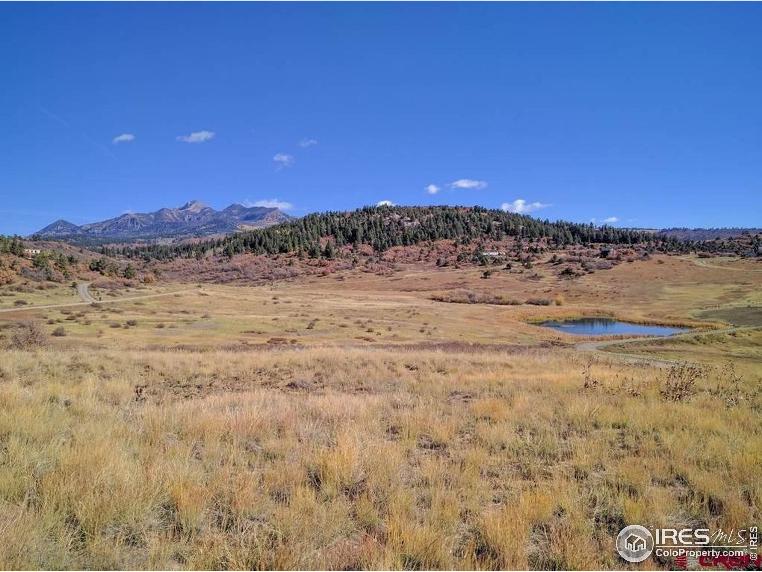 2. Land for Active at 919 Roush Drive Pagosa Springs, Colorado 81147 United States