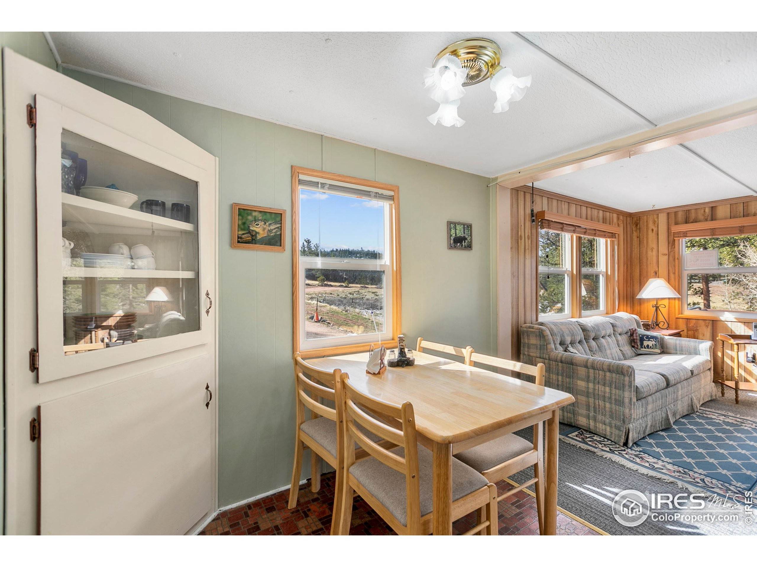 12. Single Family Homes for Active at 36 Comanche Circle Red Feather Lakes, Colorado 80545 United States