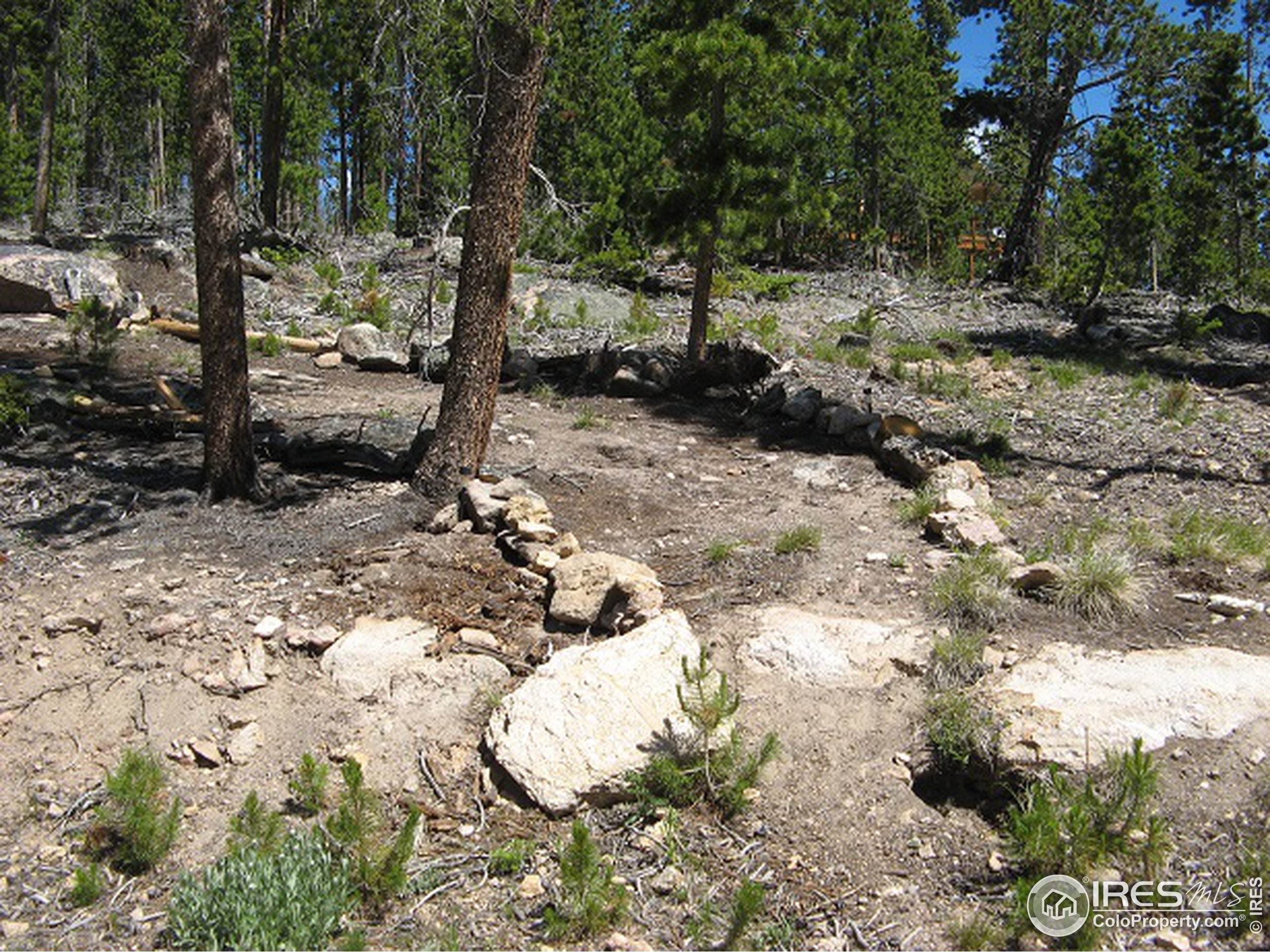 4. Land for Active at 1244 Mosquito Drive Red Feather Lakes, Colorado 80545 United States