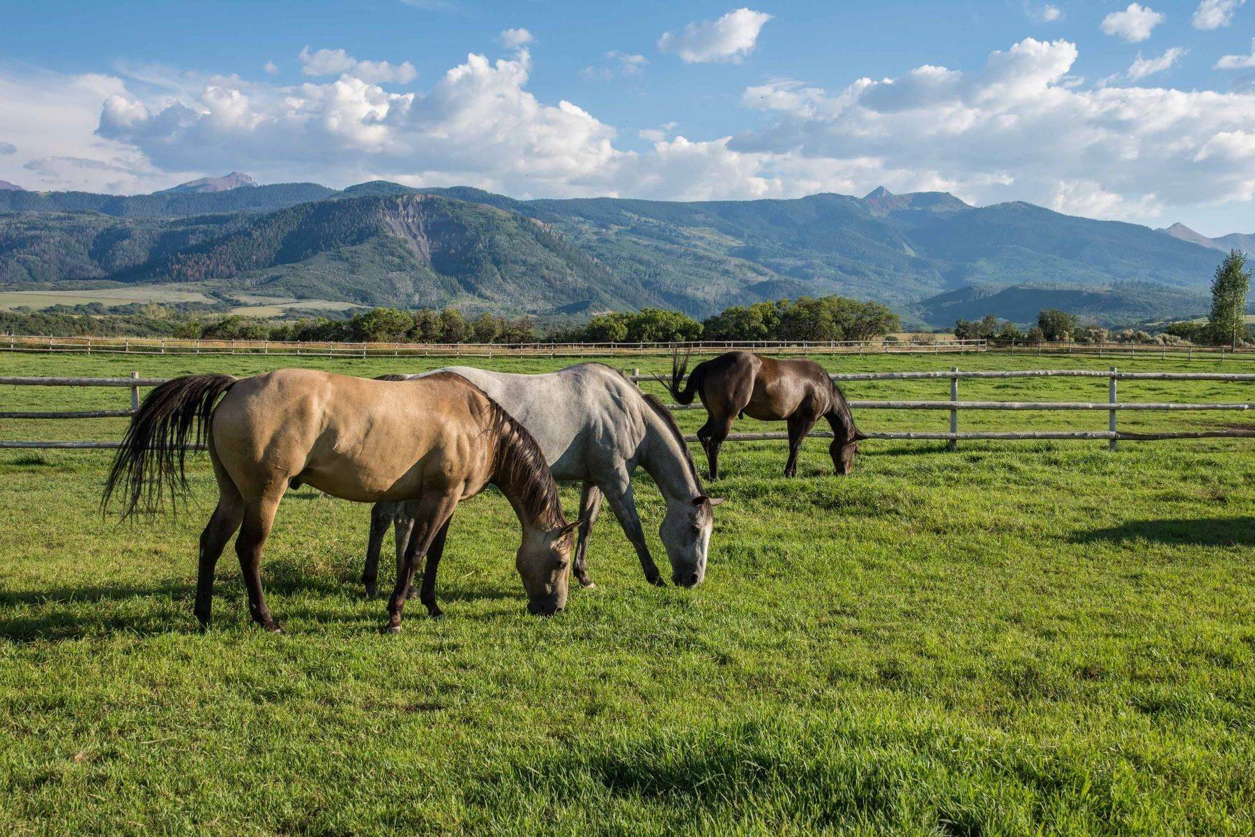 11. Farm and Ranch Properties for Active at RARE and UNIQUE opportunity to own the heart of the renowned McCabe Ranch! 1321 Elk Creek & TBD McCabe Ranch Old Snowmass, Colorado 81654 United States