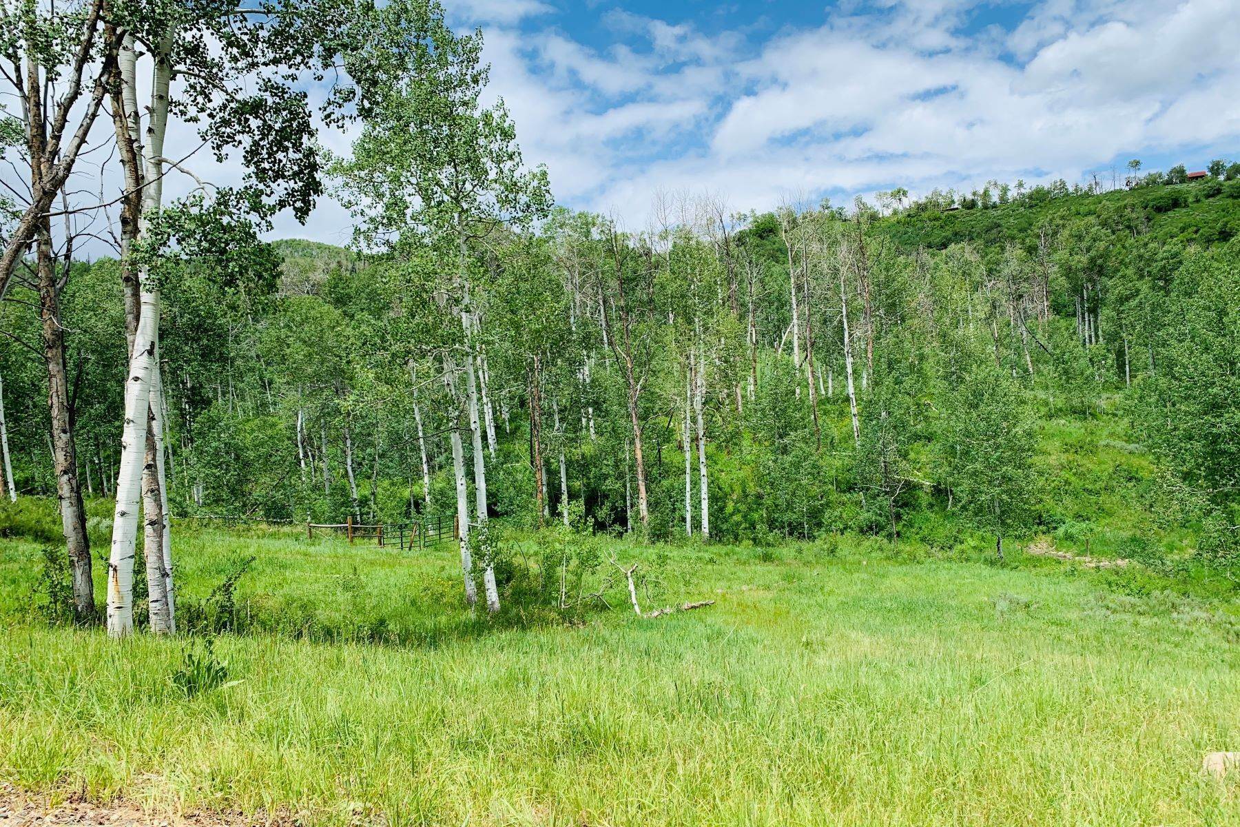Land for Active at Murphy Larsen Ranch Lot #1 56025 Hannahs Way Clark, Colorado 80428 United States