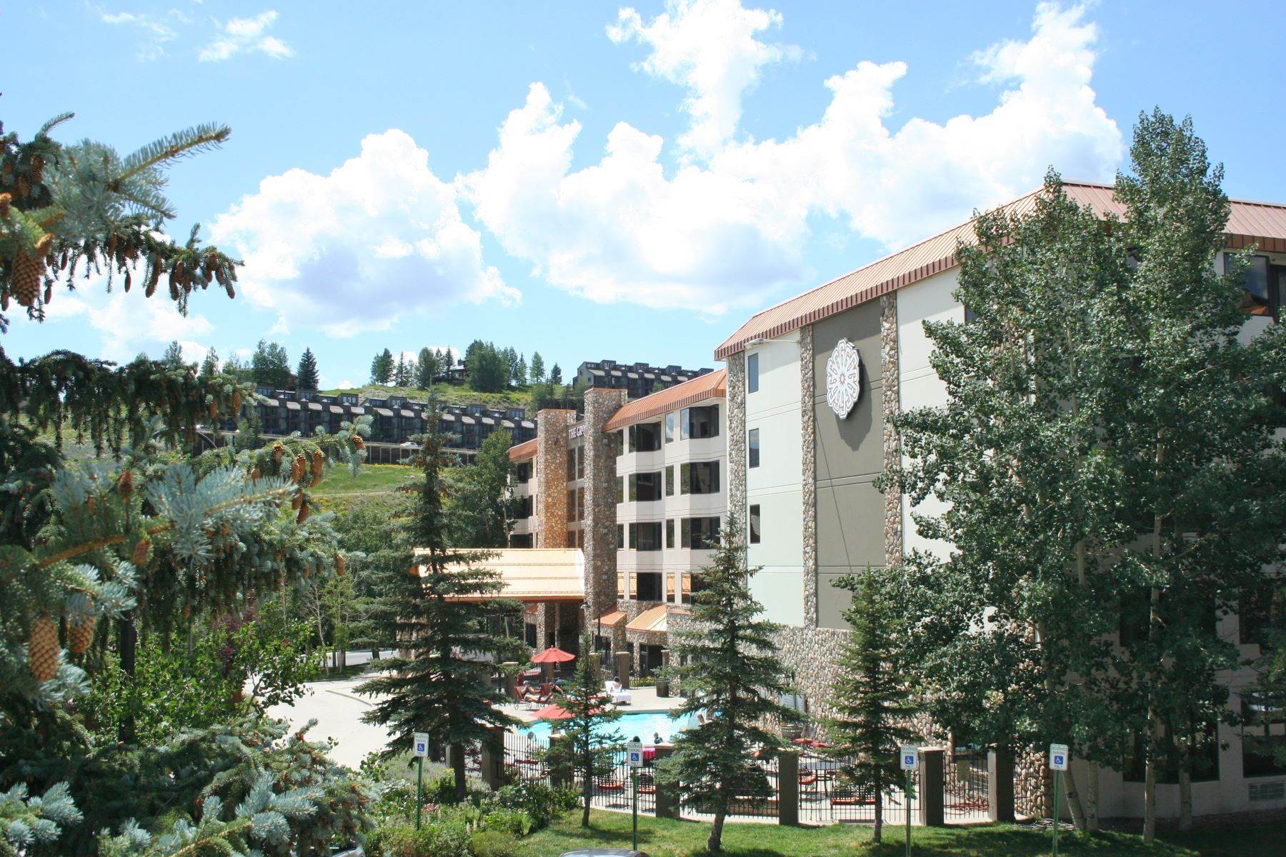 29. Condominiums for Active at Grand Lodge #370 6 Emmons Road, Unit 370 Mount Crested Butte, Colorado 81225 United States