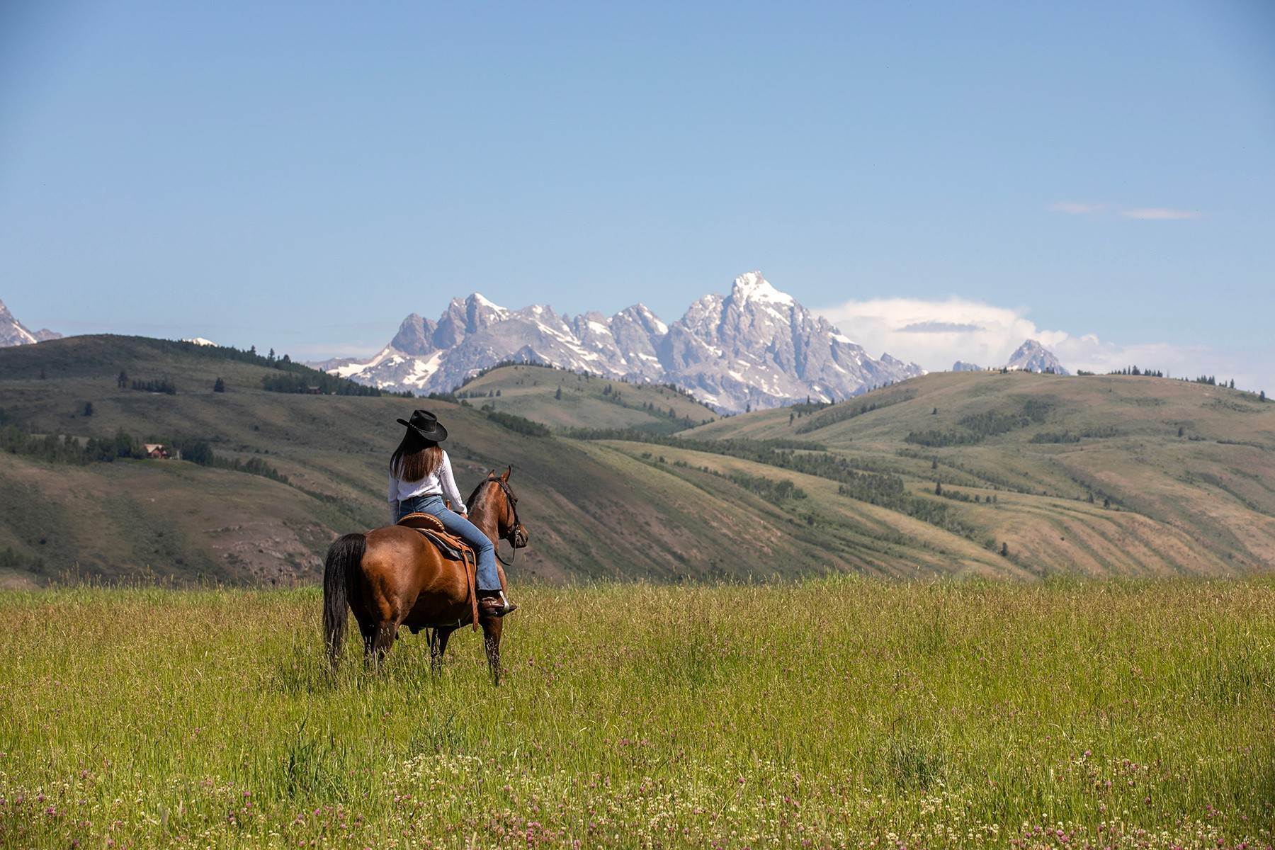 13. Land for Active at Historic Mead Ranch Spring Gulch Road Jackson, Wyoming 83001 United States