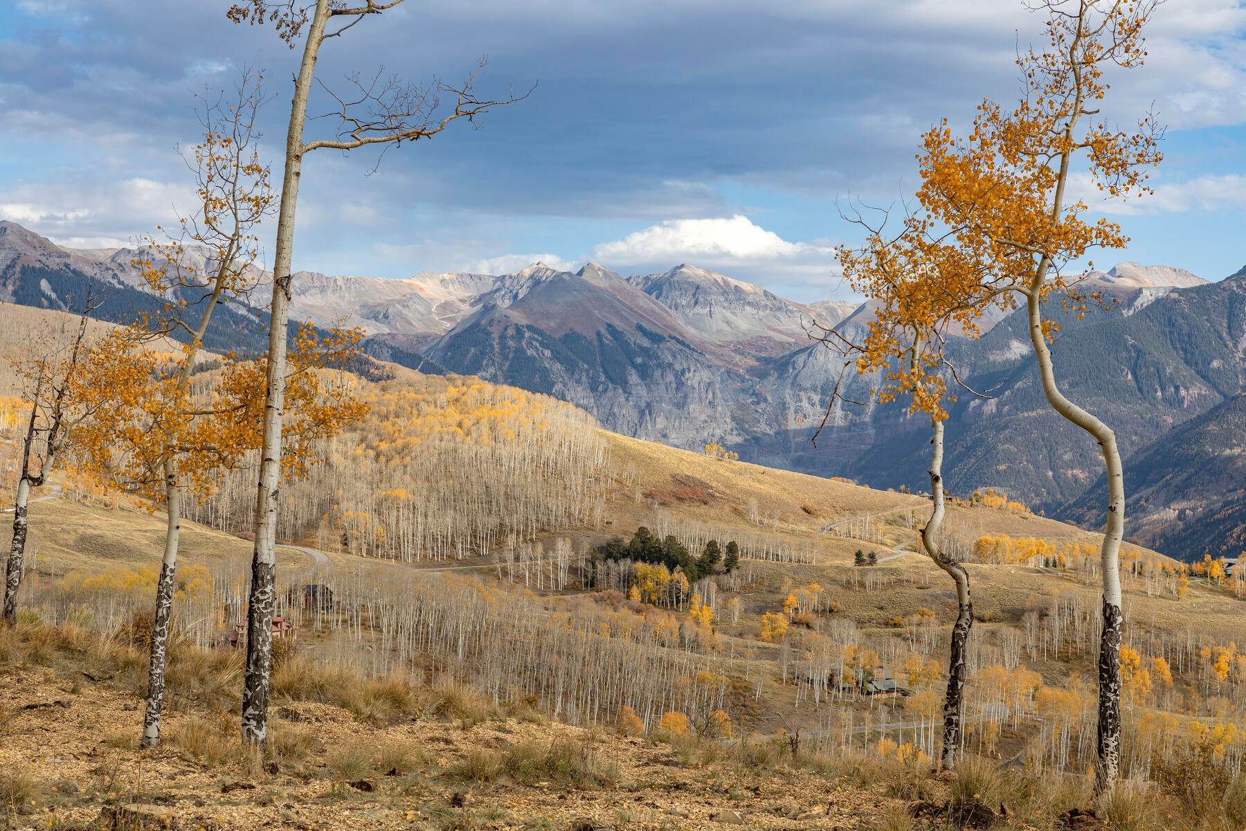 8. Land for Active at TBD Basque Boulevard, Lot 113 & 114A Telluride, Colorado 81435 United States