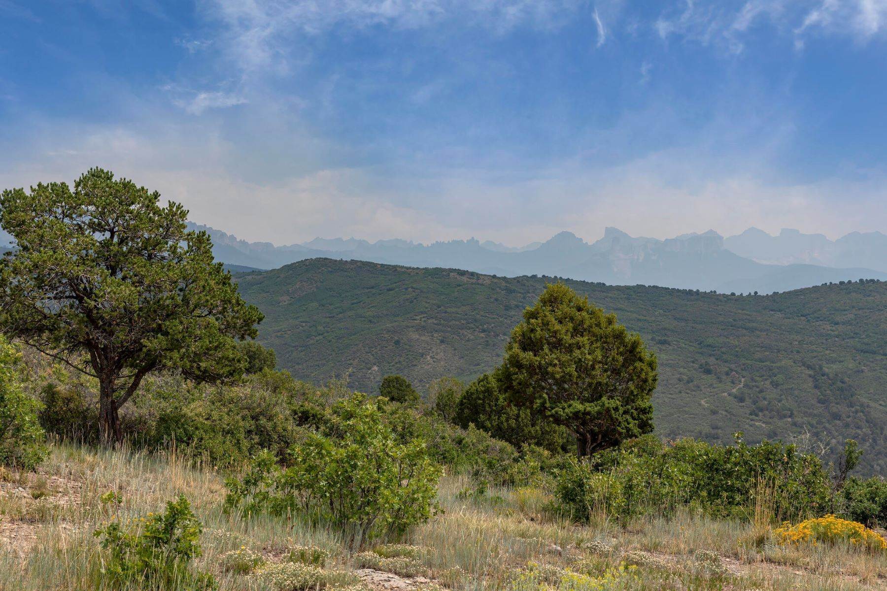 26. Farm and Ranch Properties for Active at County Road 4, Willeford Ranch Ridgway, Colorado 81432 United States